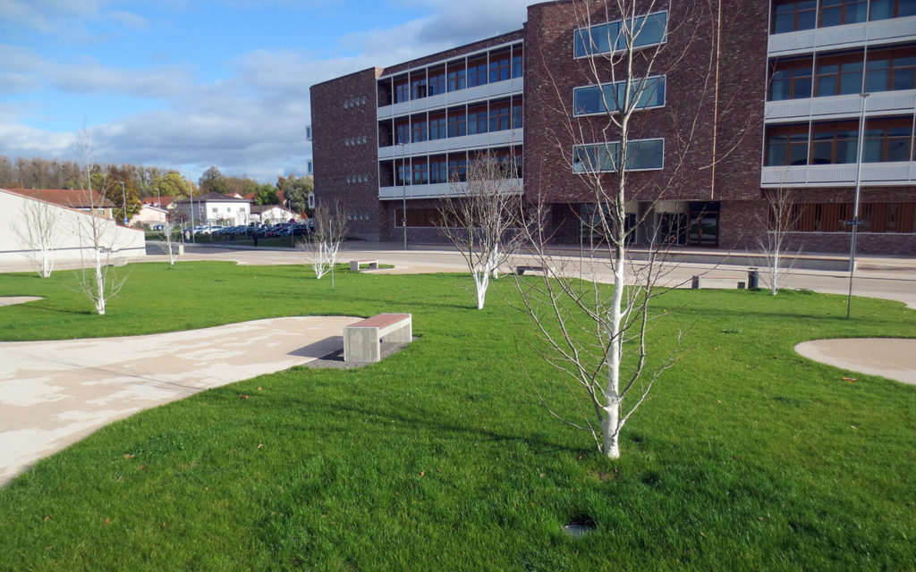 dm Zentrale Karlsruhe 3 eco rain dm zentrale k