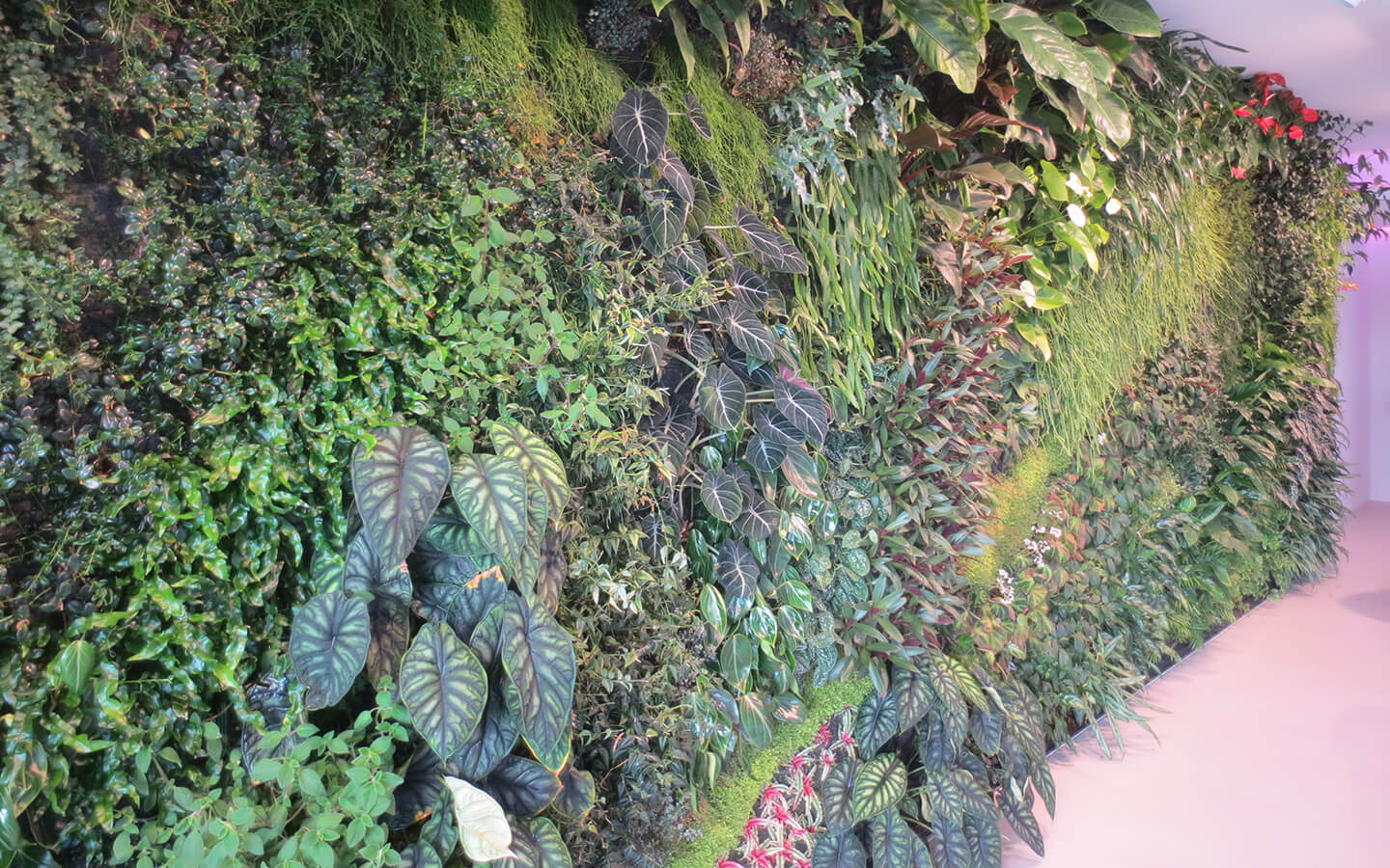 ecorain-vertical-garden